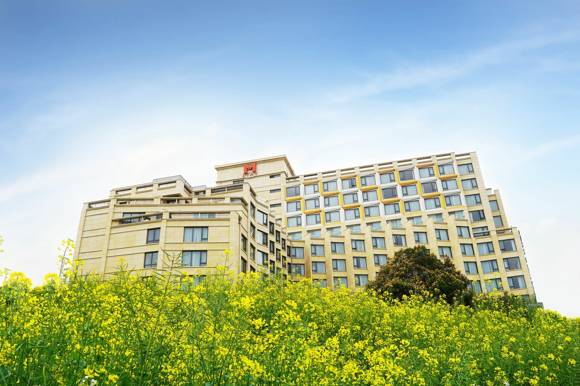 Mstay Hotel Seogwipo Exterior foto